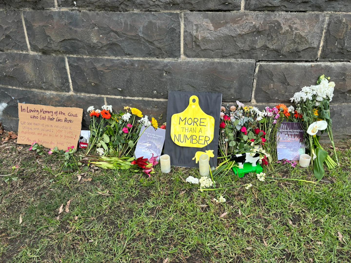 South Yarra Cattle Truck Crash