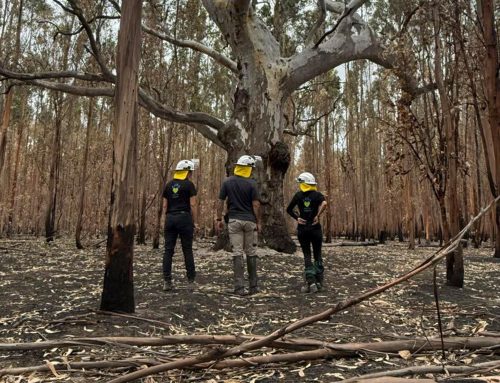 Bushfire Response: Grampions