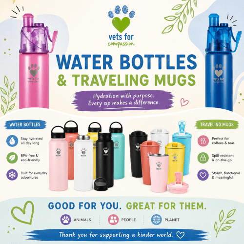 Water Bottles & Travel Mugs